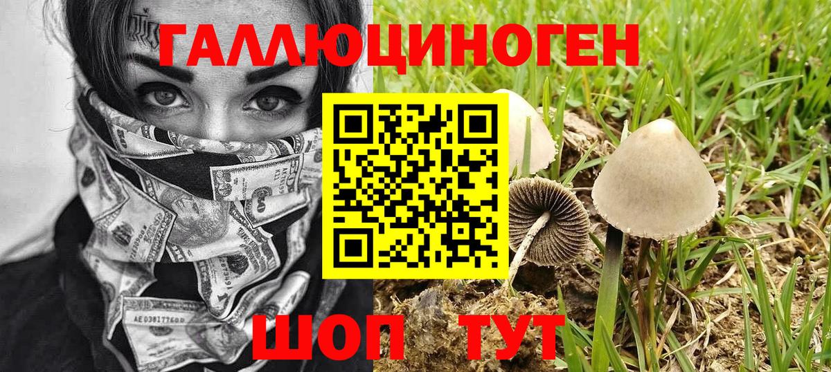 Галлюциногенные грибы Psilocybine cubensis  Галлюциногенные грибы MAGIC MUSHROOMS  Грозный  Вход с VPN 